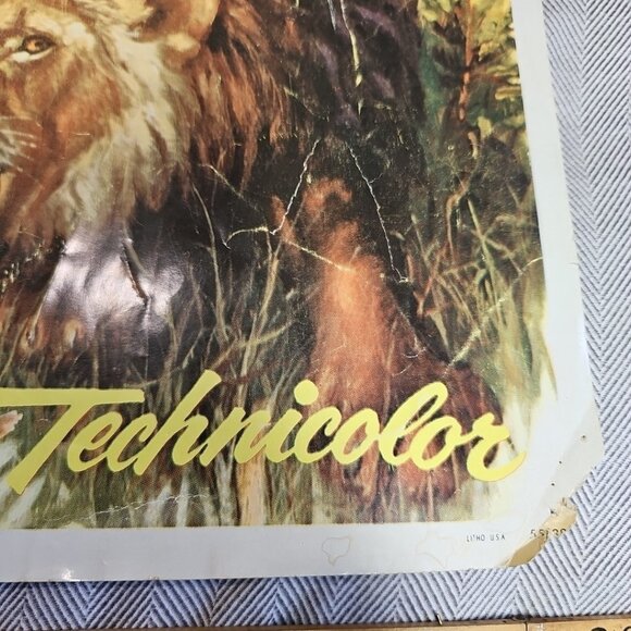 1955 The African Lion Original Walt Disney 28x22 Litho Movie Poster Very Rare US - Picture 6 of 12